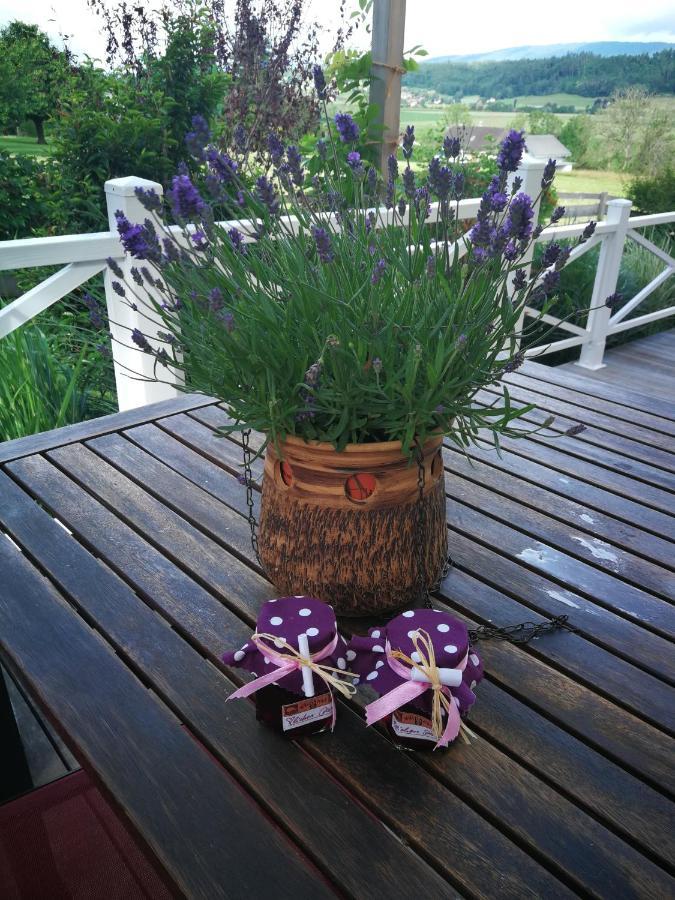 B&B Whitianga Vinelz Extérieur photo